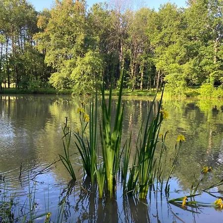 In Les Eyzies-de-tayac-sireuil With Pool *